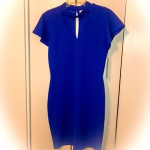 NEW Cobalt Blue Dress!